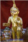 Jalzilani Ekadashi - ISSO Swaminarayan Temple, Los Angeles, www.issola.com